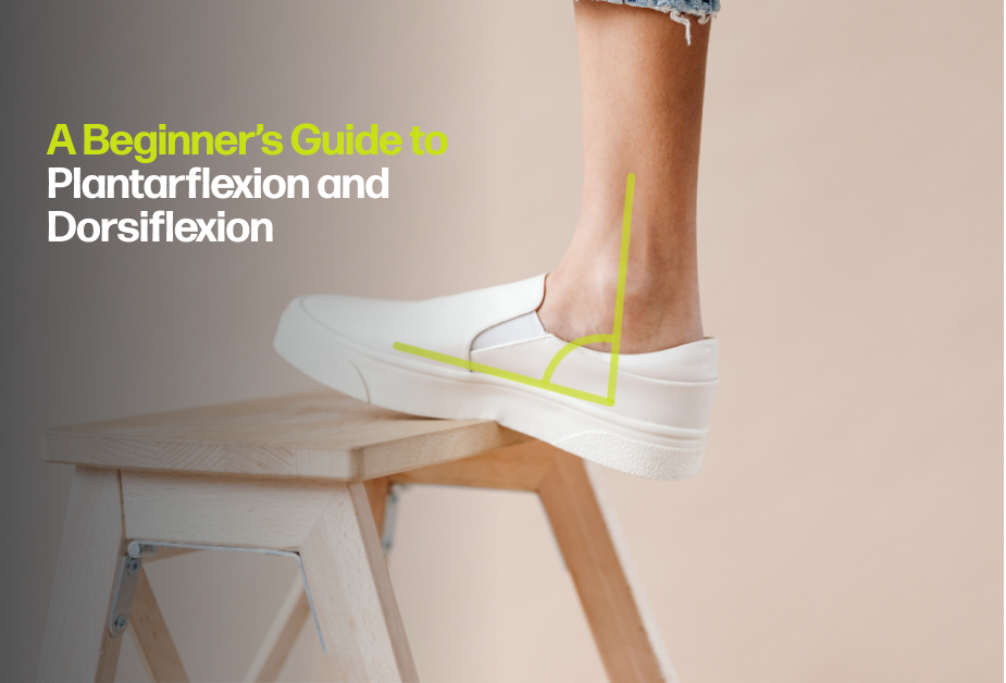 A Beginner’s Guide to Plantarflexion and Dorsiflexion
