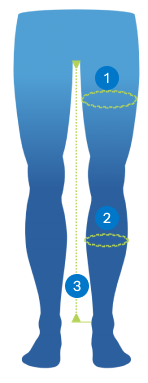 measurements_legs